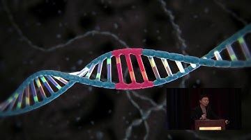 Keynote Presentation:  Genome Editing Technologies and Beyond