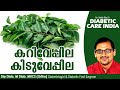 കറിവേപ്പില കിടുവേപ്പില | Curry Leaves | Dr.Satish Bhat's | Diabetic Care India