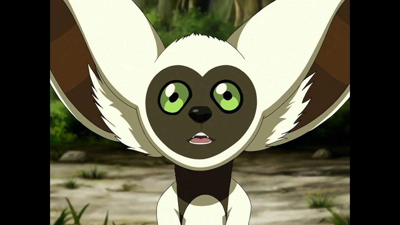 Лемур момо аватар аанг. Лемур момо из аватара. Момо аанг. Момо аанг. Момо аанг.