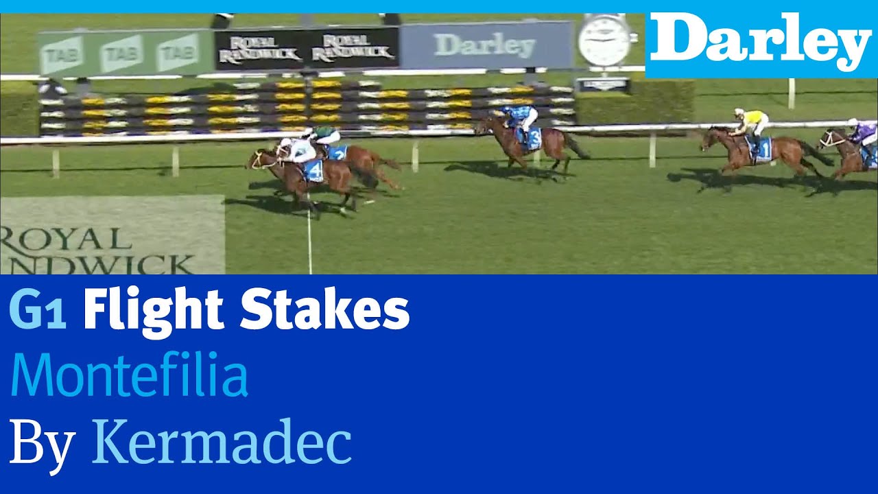 Montefilia by Kermadec wins the G1 Flight Stakes at Randwick