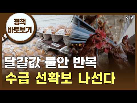 외국산 신선란 수백만 개 '상시수입' 한다?