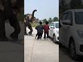 ham logo ke pass bahut sare janwar hai dekho aur ek elephant v hai #viral #shorts #vidio#ai