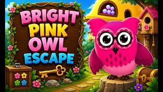 G4K Bright Pink Owl Escape Game| Games4King Walkthrough screenshot 2
