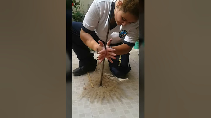 Como Encender Fuego Con Elementos Naturales Por Medio De La Fricción.