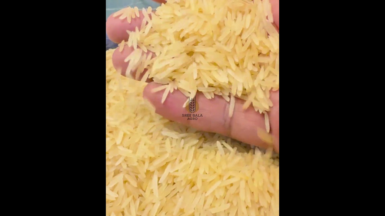 1509 Golden Sella Video