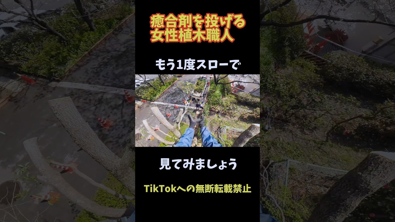 ナイスコントロール！