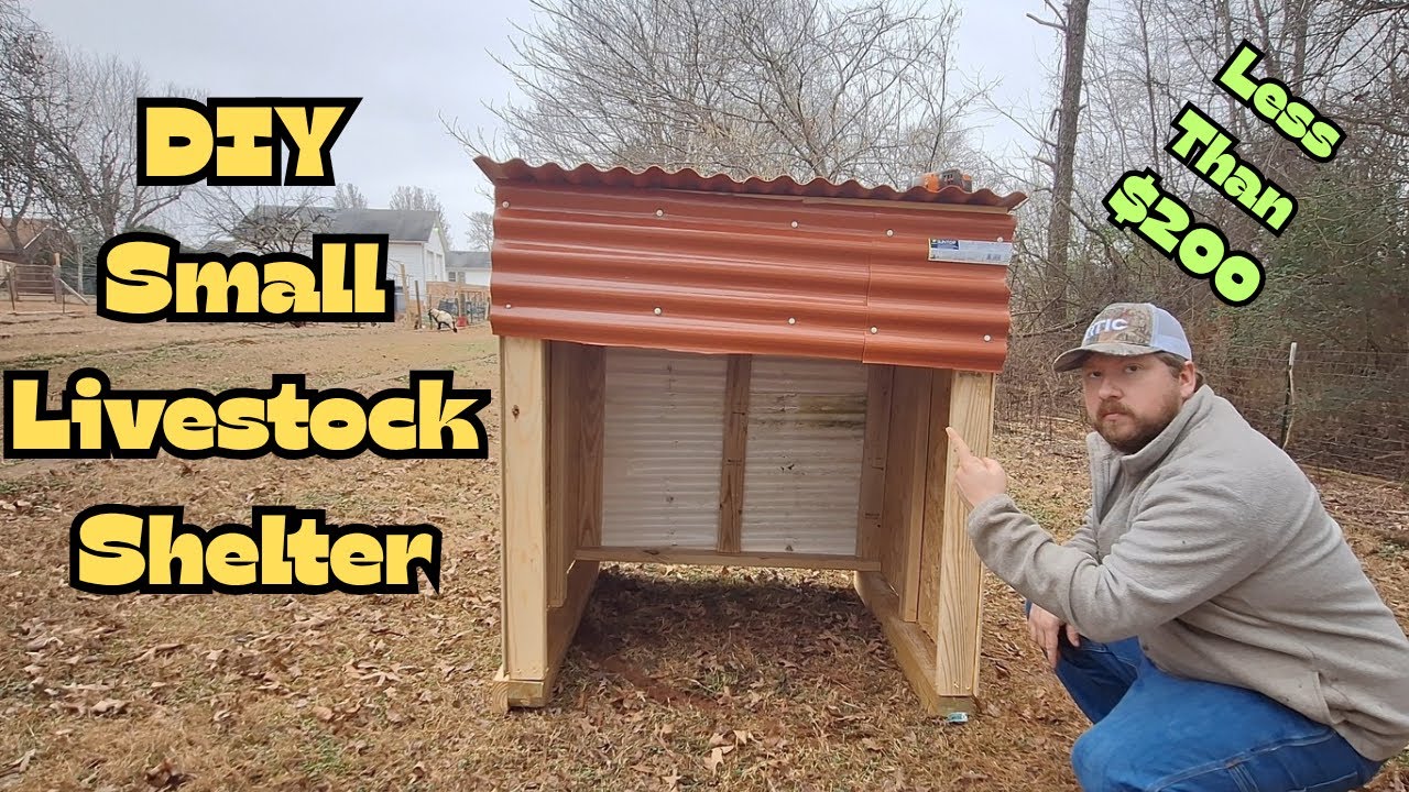 Самодельный небольшой навес для скота | Я не использовал чертежи!
