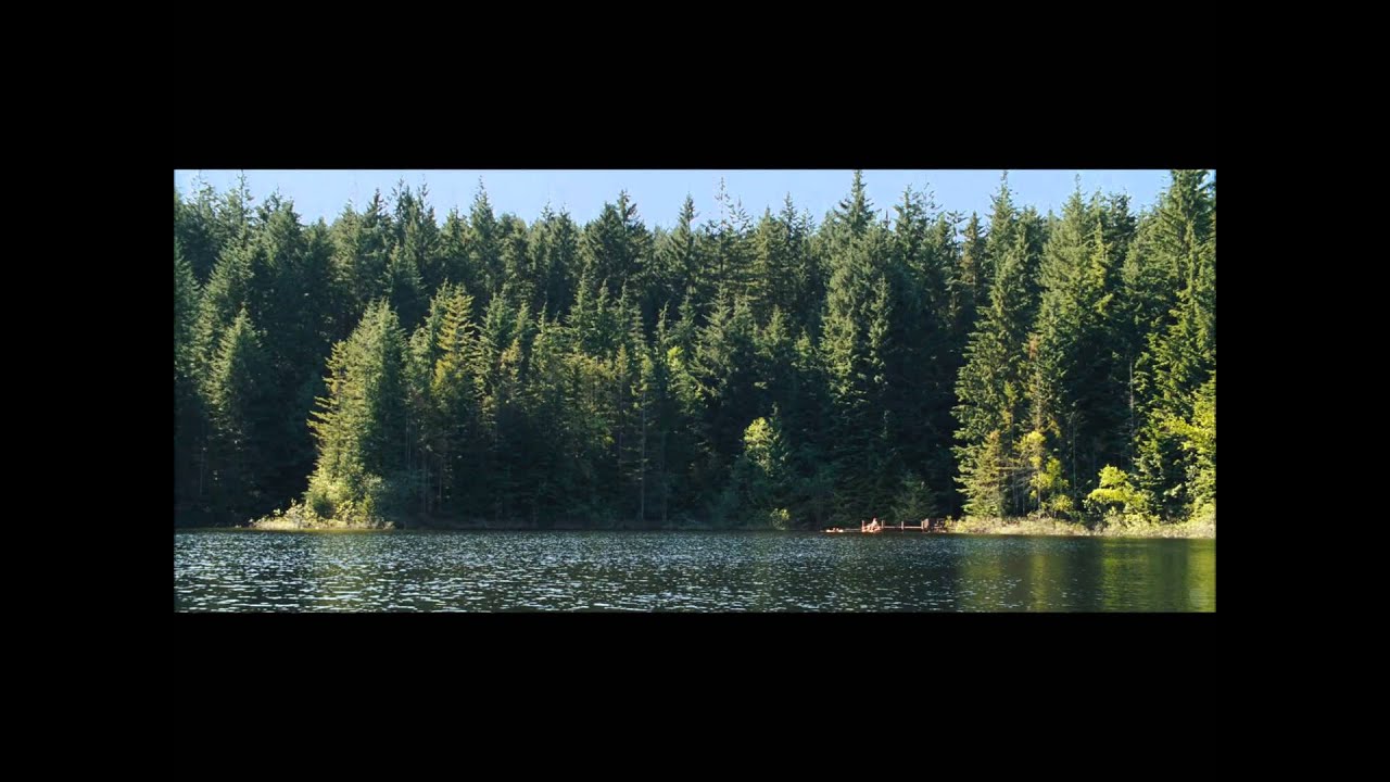 Cabin in the Woods Trailer Parody