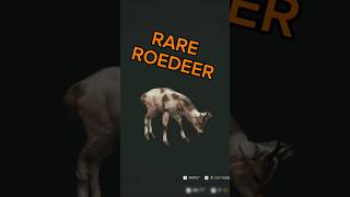 Roe Deer Grind Pays Off BIG 🍀#cotw #thehunter