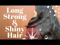 My Secret to Long, Strong, Silky, Bouncy &amp; Shiny Hair at Home Naturally | Stop Hair Fall Immediately