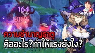 Genshin Impact อธิบายและทดสอบค่าความชำนาญธาตุ (Element Mastery)