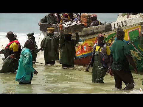 Moritanya, Çölün Taşıyıcıları | En Ölümcül Yolculuklar