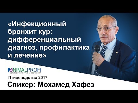 ANIMALPROFI. Август 2017. Мохамед Хафез: Инфекционный бронхит кур дифференциальный диагноз