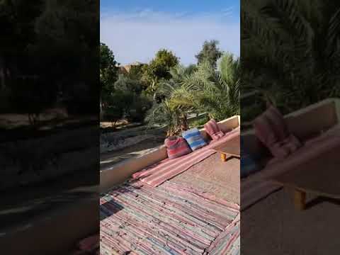  الفيوم مصر  اغاني