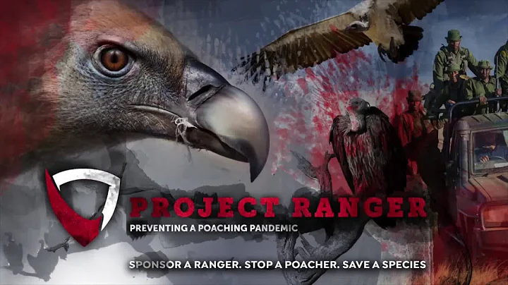 Episode 3: PROJECT RANGER - Preventing a poaching pandemic