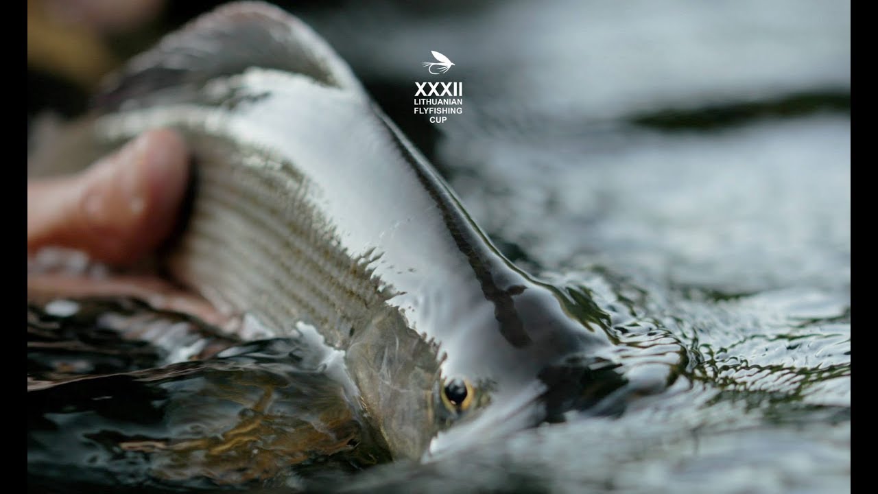 Apie žūklę 2017 08 26. XXXII Lietuvos muselinės meškerės sporto čempionatas.