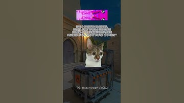 Заслуженно? #cs2 #cs2funny #cs2clips #cs2moments #cs2memes #кс2 #кс2приколы #кс2мемы #csgo #cs #ксго