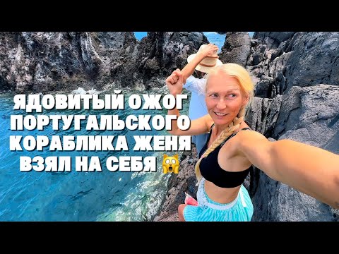 Удивительная и не совсем безопасная Мадейра. День шесть.