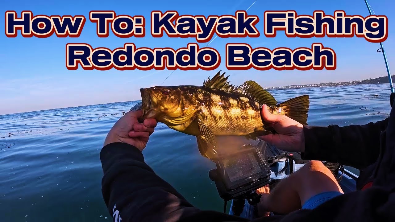 How to Kayak Fish Redondo Beach: Trolling and Working the Kelp.