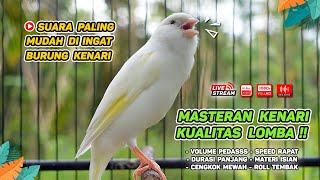 Masteran Kenari PAUD & Pancingan Kenari MACET BUNYI‼️ Terapi AMPUH Bikin Kenari GACOR (Episode 125)