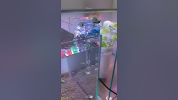 #shorts ONE OF THE BEST mini hang on back filter for nano aquariums | NEPALL hang on back filter