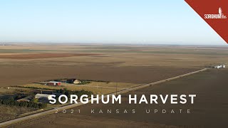 Kansas Sorghum Harvest 2021