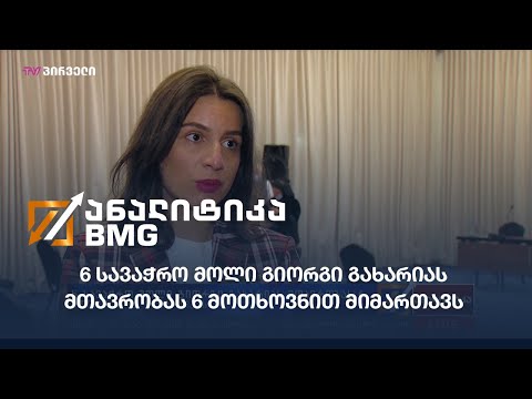 6 სავაჭრო მოლი გიორგი გახარიას მთავრობას 6 მოთხოვნით მიმართავს