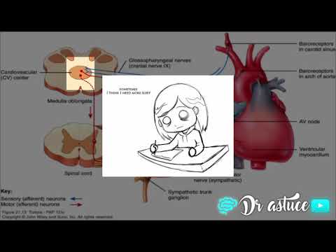 Vidéo: La diminution du débit cardiaque est-elle liée à l'hypertension ?