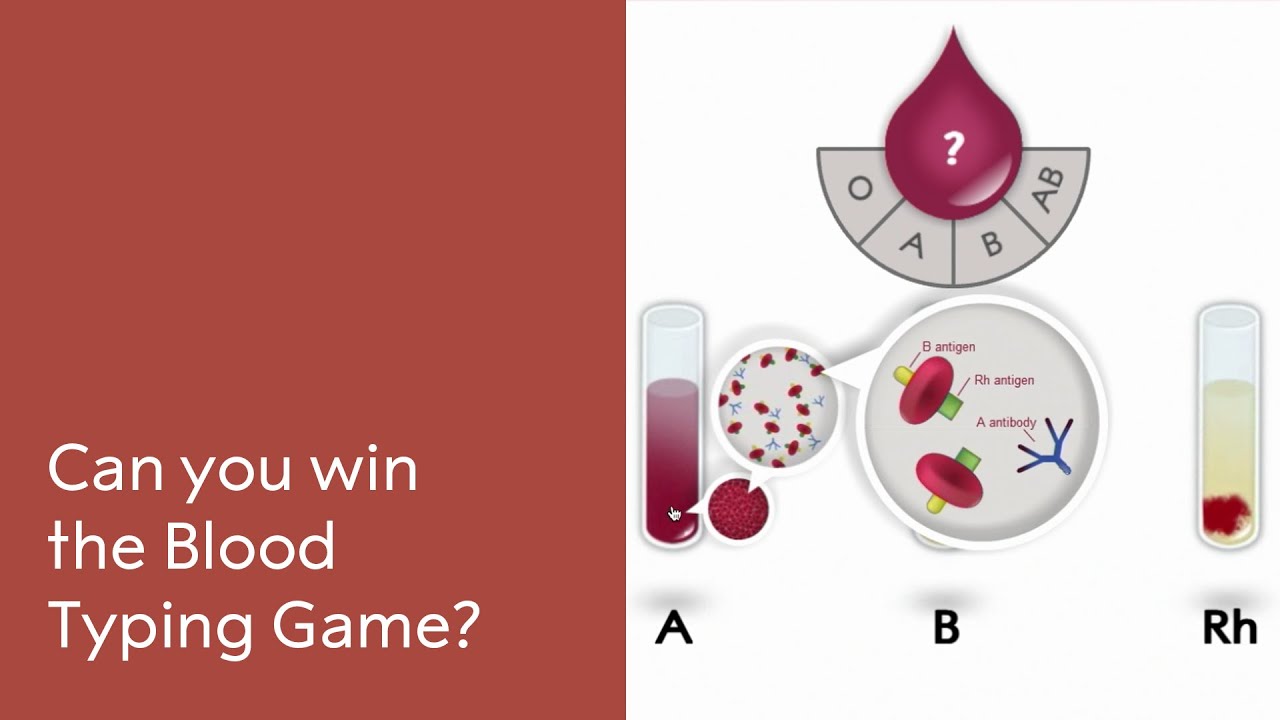 The Blood Typing Game - about blood groups, blood typing and blood  transfusions