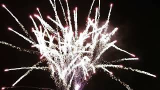 Celebrity Funke - Single Row Rising Python Purple Profile