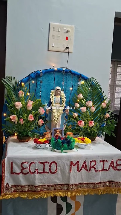 மாதாவே சரணம்🌹🙏 #shortsfeed  #mathasongs