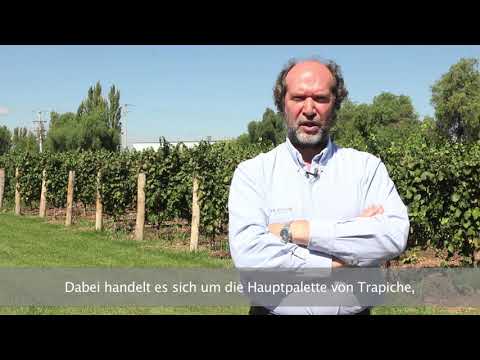 Video: Ist Trapiche ein guter Wein?