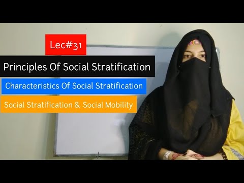 Video: Care sunt caracteristicile stratificării sociale?