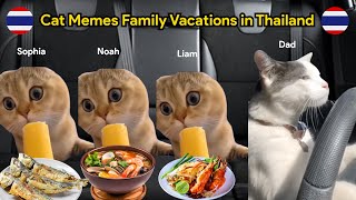 Cat Memes On A Roadtrip to Thailand