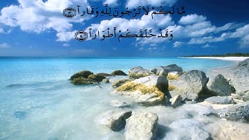 جزء تبارك - الدوكالي العالم - برواية قالون