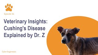 Unveiling Cushings Disease: Symptoms and Treatment Explained