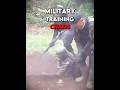 Military CHAOS Training Of the World 3🌍💪!