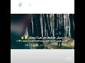 قال هتلر اذا كثر عليك الحاقدين فعلم انك اسطوره