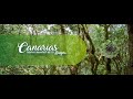 La Palma: Canarias. Reserva mundial de la Biosfera