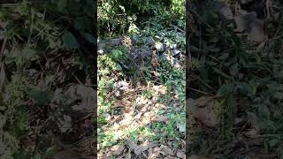 Villa Purificación, Jalisco, México La Casa Del Abuelo 27 febrero 2024