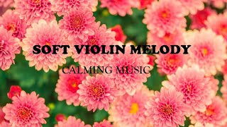 RELAXING INSTRUMENTAL MUSIC | SOFT VIOLIN MELODY | MENTAL HEALING MUSIC | CALMING MUSIC | screenshot 2