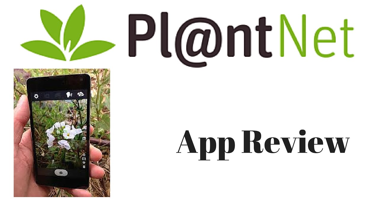 plantnet - die app, die pflanzen erkennt