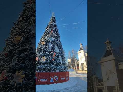 #рождество в #пушкино мои поздравления #здоровье и #счастье #будущее #motivation #новыйгод2024 #лфп