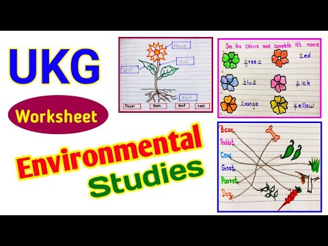 video evs kg