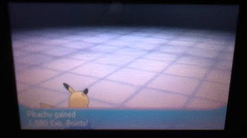 Pokemon Omega Ruby Team Magma Horde Battle