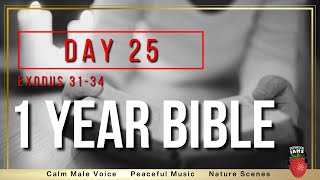 Day 25 | NIV Exodus 31- 34 | 1 Year Bible Reading Plan | Peaceful Scripture Audio Bible