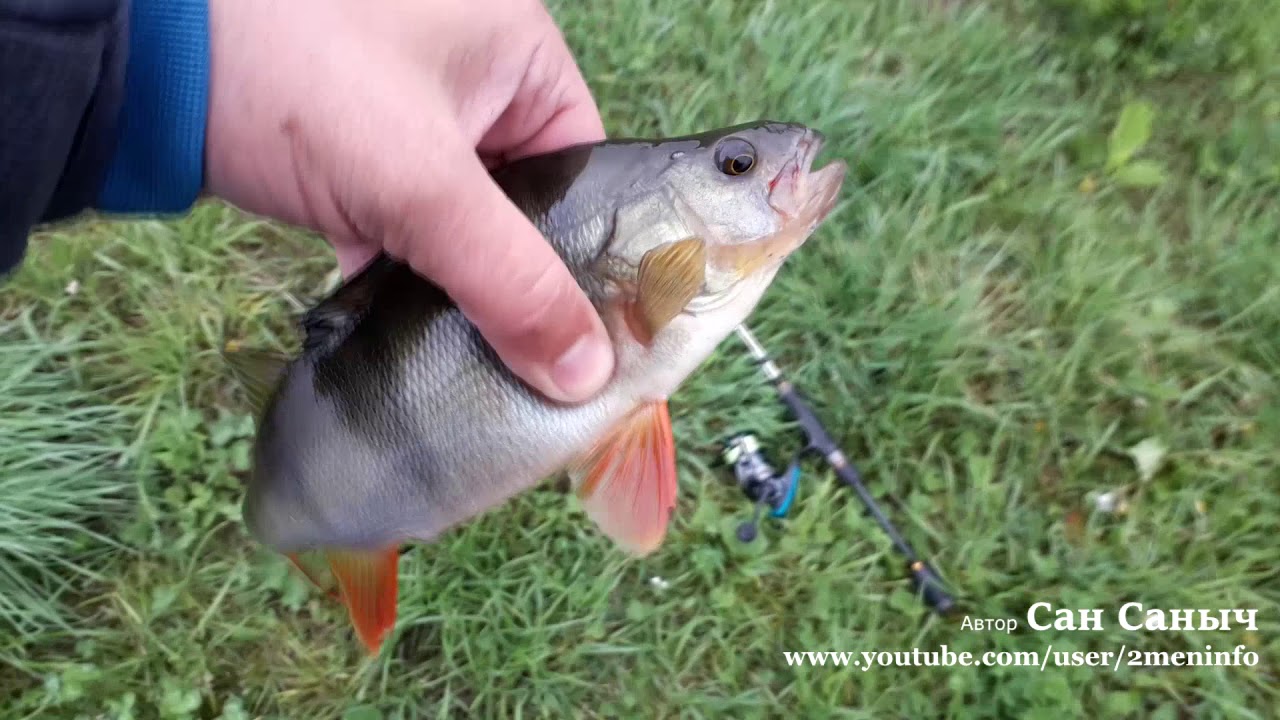 Наплевать на ураган наплевать на злой буран - YouTube