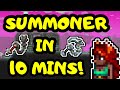 SUMMONER IN 10 MINUTES! Terraria 1.4 Expert Summoner Progression Guide! Summoner Loadout Guide!