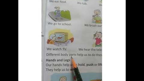 Class- I(EVS-Chapter 3-Functions Of Our Body Parts)