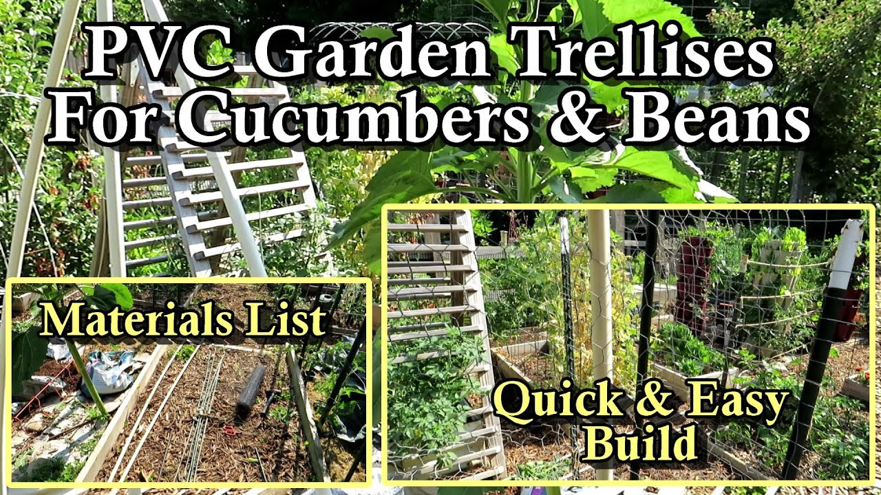 How to Make a Cucumber & Bean Trellis for Your Garden: Easy & Quick Build,  Mobile, and Inexpensive 